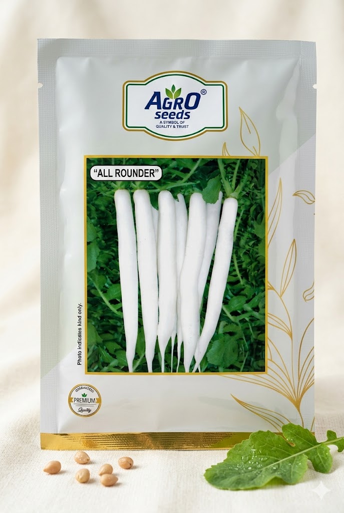 All round| Agro Seeds|Hybrid Raddish| 100G